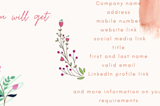 provide qualified b2b lead generation service