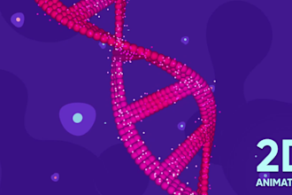 create 2d animated explainer, infographic video