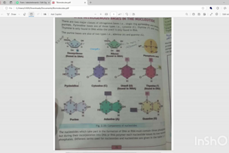 explain biology and chemistry concepts for students