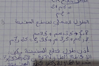 teach you arabic, english, or french