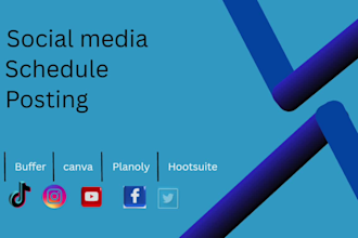 schedule posts for social media with buffer, facebook,hootsuite and tailwind