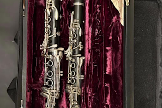 give clarinet, bass clarinet or saxophone lessons
