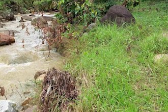 craft scenic landscape and nature photography