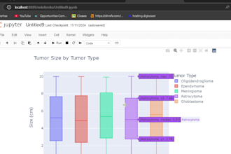 perform data cleaning, analysis, data visualization, and predictive analysis