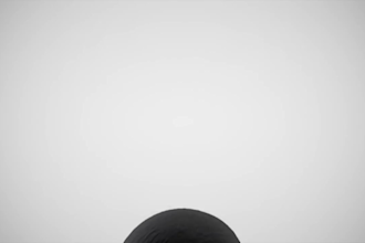produce professional electronic music for you