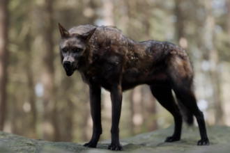 create realistic 3d animal animation, 3d animal model, 3d creature, vfx cgi mode