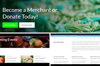 customize wordpress website by elementary and divi builder
