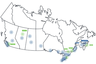 create custom map animation for social media platform