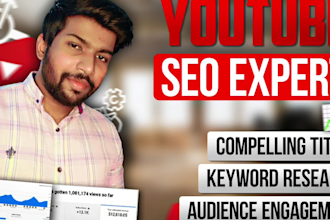 do best youtube video SEO expert optimization and channel growth manager