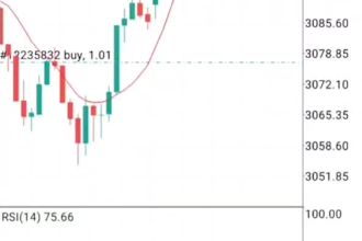 setup trading bot, forex trading bot, forex robot, forex bot, trading bot