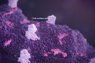 do 3d medical animation oncology pharma moa biotech scientific explainer video