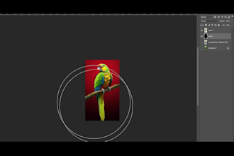 expertly remove image backgrounds for ecommerce and personal photos