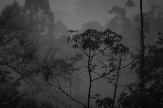 create a full reggae track for you