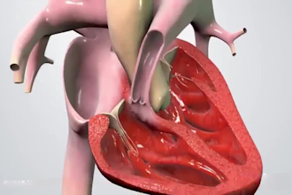 do 3d medical animation 3d industrial animation surgery anatomy scientific