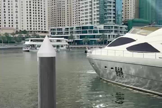 do social media 3d animation