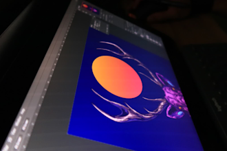 custom illustrations by an experienced artist