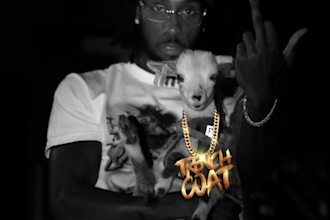 create album cover art motion for your release