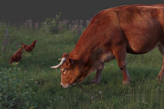create 3d animal animation, 3d animal model, 3d animals design, xgen, fur