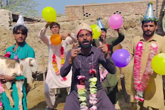 do funny happy birthday or african happy birthday video