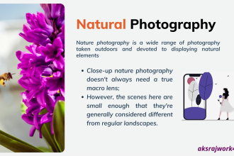 do brush up and visual enhancement for your presentation articles book etc