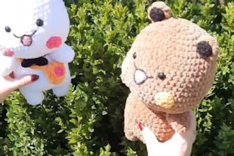 crochet the amigurumi plush toy and send it to you