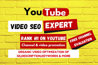 do youtube video promotion  google adsense, seo and monetiz