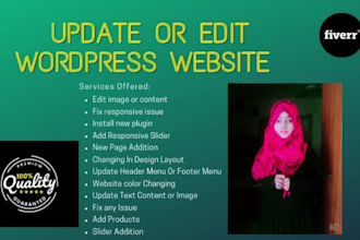 update or edit the wordpress website quickly
