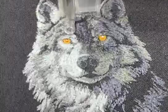 embroidery digitize like outline your dog ,cat, other animal, etc quick and fast