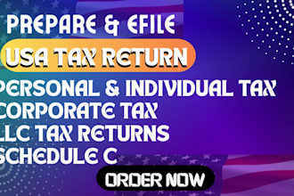 e file us tax returns for personal corporate llc register us llc non us resident
