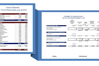 prepare financial statements,balance sheet,income statement