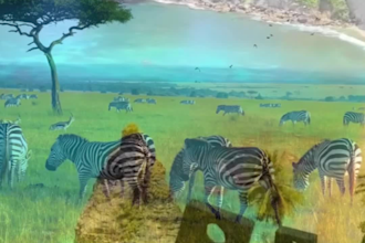 create engaging visuals that would prompt the viewer to explore