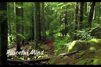 create custom relaxing meditation music, relaxation music