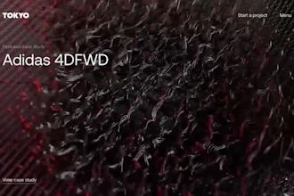 3d interactive website spline 3d website animation webflow expert 3d developer