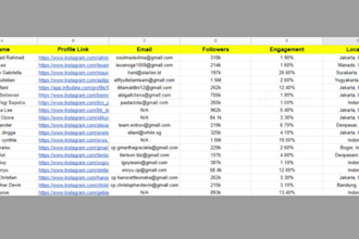 provide highly targeted influencer research and professional outreach