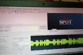 edit and sync subtitles