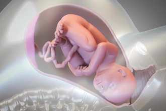 make aesthetic 3d medical animation, medical explainer video, medical animation