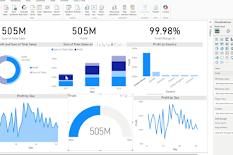 be your data visualization, data analyst, expert power bi