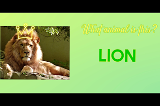 make creative, interesting video about safari animal