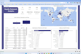 be your excel and power bi data analyst with remote support