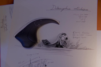sound design for animation