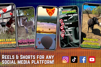 provide proven social media management for facebook, instagram, tiktok