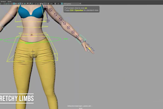 be your 3d rigger, weight paint rig, rokoko rigging, iclone, wd rig, animate 3d