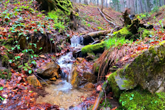 create meditation video of stream water with instrumental music