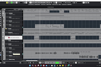 professionaly mix and master any genres