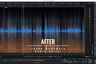 professionally clean, edit, and enhance your audio or podcast