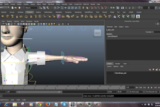 do character rig and animations