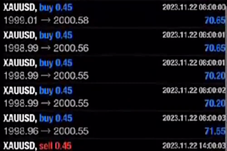 give you automated forex trading bot, hft bot, forex robot, forex ea, crypto bot
