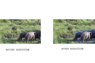 create custom yolo model for detection or segmentation