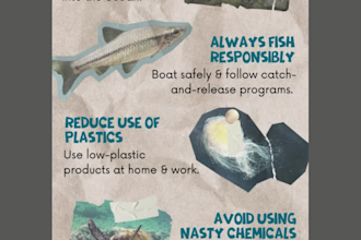 create infographic designs for business