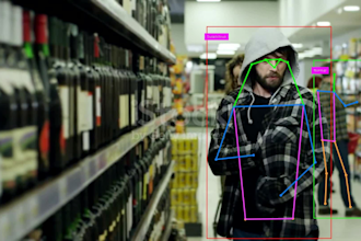 develop ai powered computer vision systems for security, sports and analytics